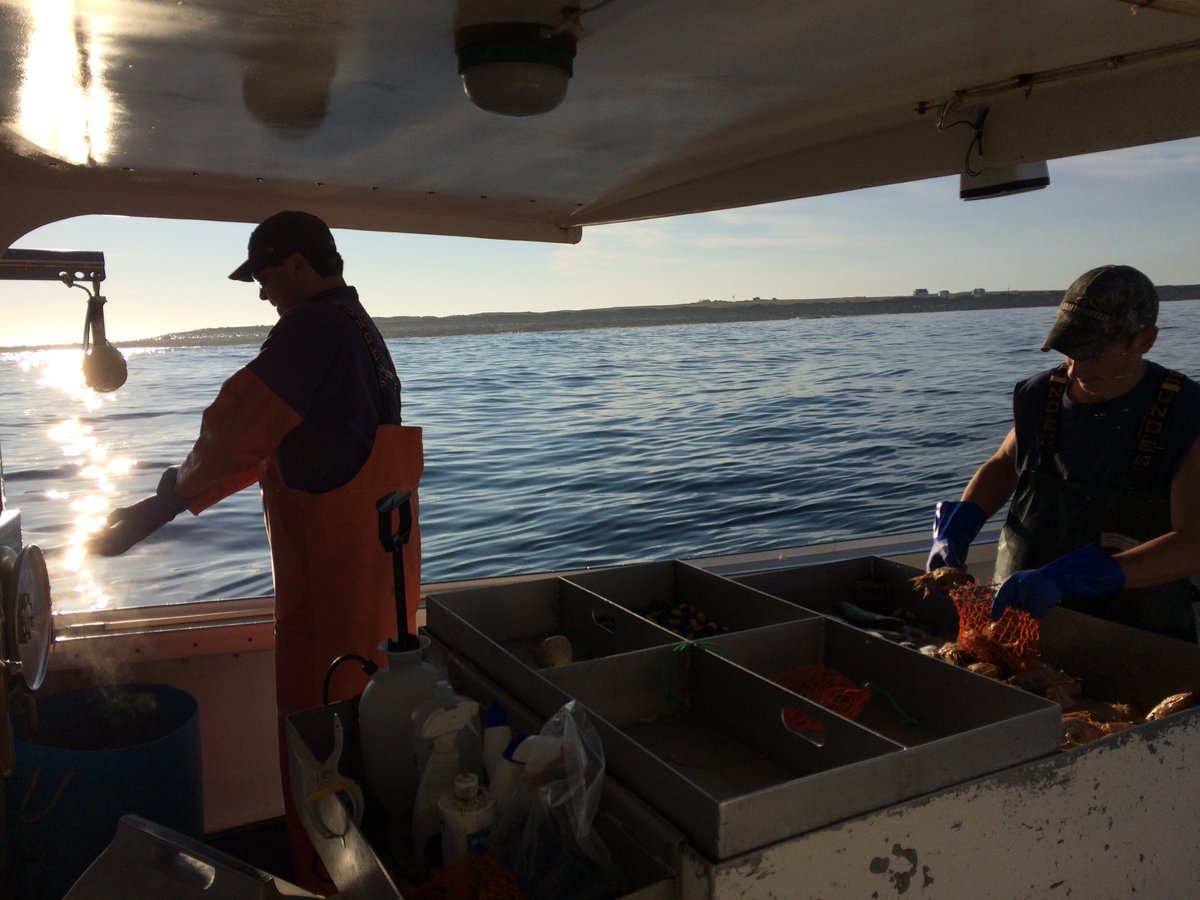 bit.ly/29fczjr <a href="/LukesLobster/">Luke's Lobster</a> <a href="/LobsterFromME/">Lobster From Maine</a> @workingwaterfront