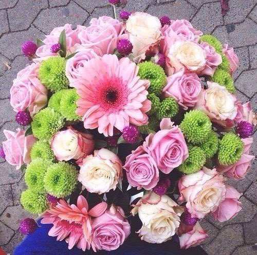 lifechooses's tweet photo. ✧choose one✧ https://t.co/JZfAcLFTk1