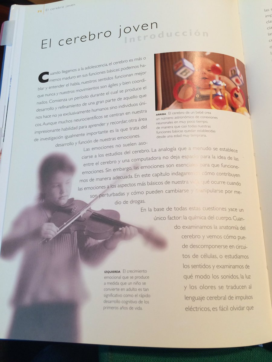 Es un gusto estar con ustedes. Hoy descubriremos el poder del cerebro y para ello, ocuparemos estas imágenes...