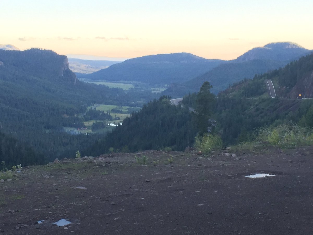 Mbirdbear tweet picture