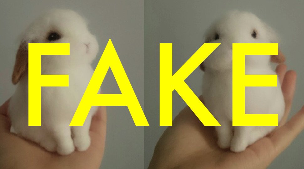 This adorable bunny is totally fake :( trib.al/ADbX4qW