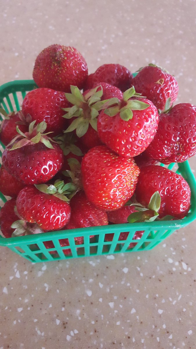 You can't beat fresh local strawberries!!! Mmm! ♡ 
<a href="/WholesomePickin/">Benjamin Oliver</a> 
#LocalFood