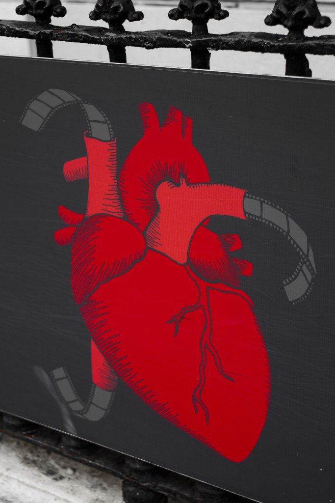 A heart driven by film peterkappel.eu/dublin-interna…