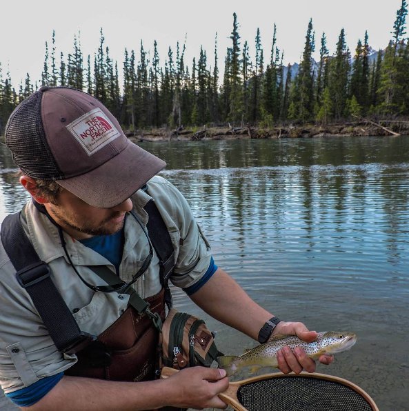Promotive's tweet photo. It's fish o'clock somewhere. 
PC https://t.co/ln5jUdMbn0 https://t.co/noyFLZkT2x
