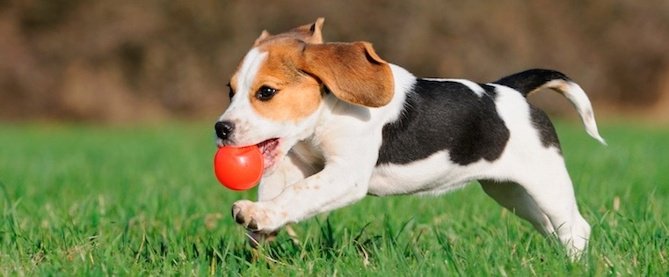 GregMLAI's tweet image. Thank you @dantyre for sharing a timeless post about creating urgency without being pushy. blog.hubspot.com/sales/sense-of…