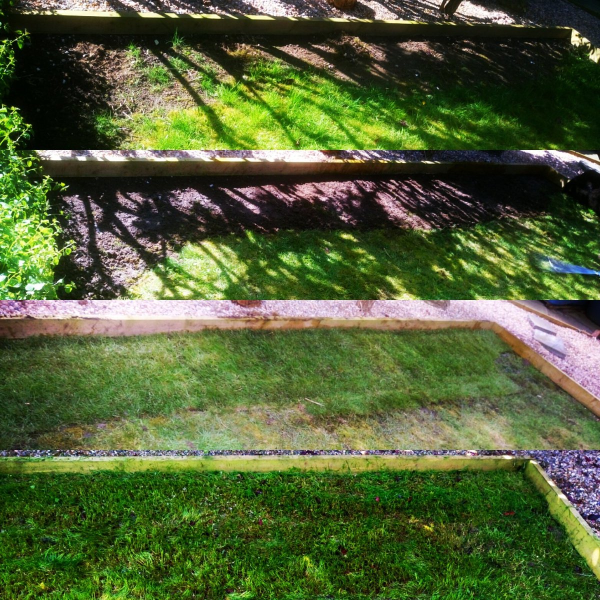 TiDeeHome's tweet image. 