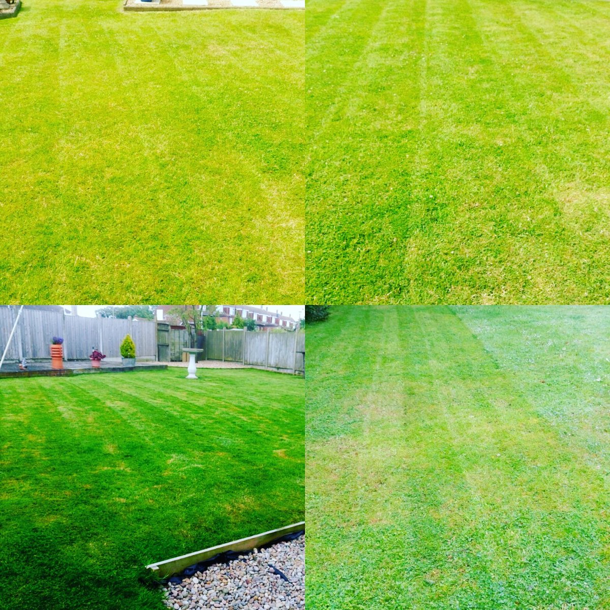 TiDeeHome's tweet image. 