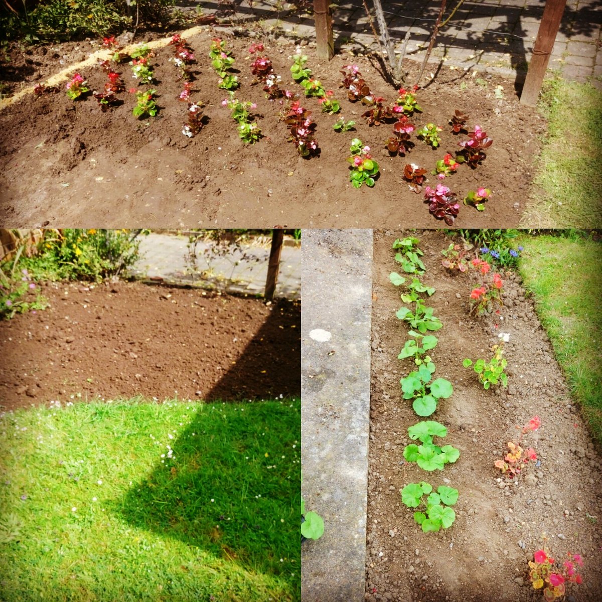 TiDeeHome's tweet image. 