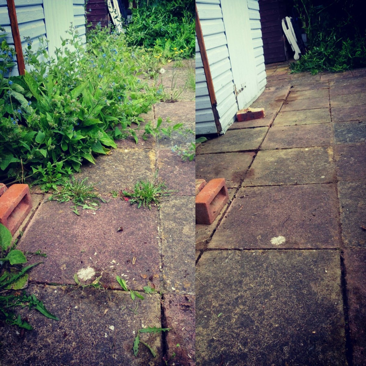 TiDeeHome's tweet image. 