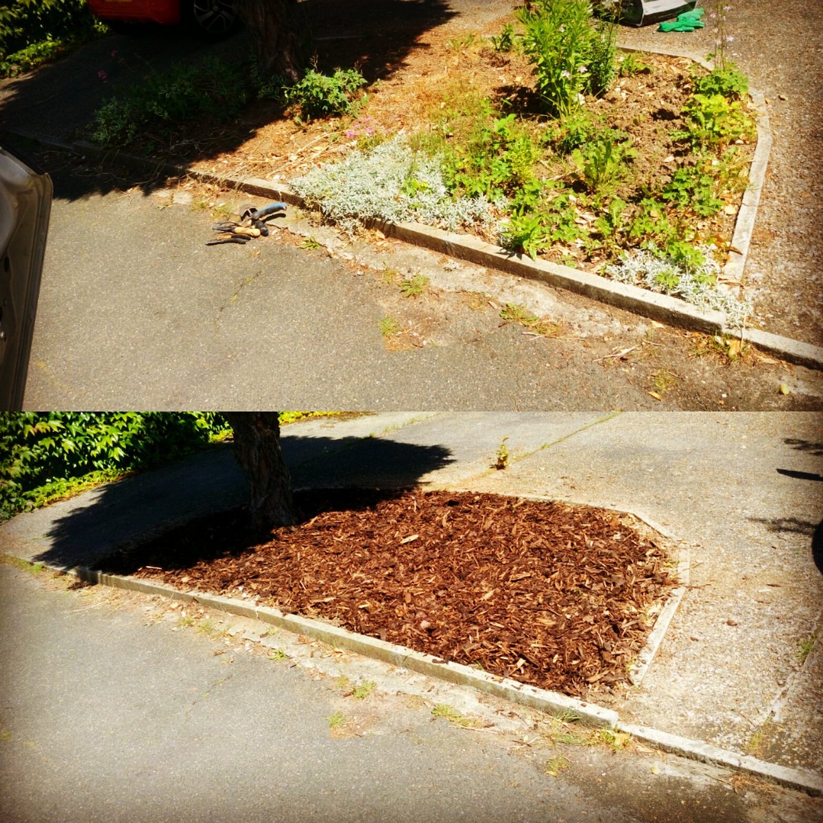 TiDeeHome's tweet image. 