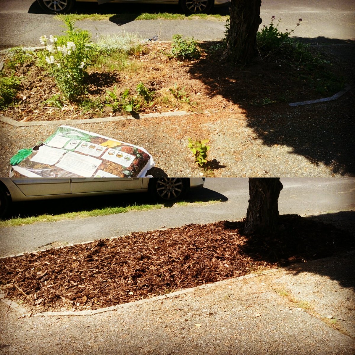 TiDeeHome's tweet image. 