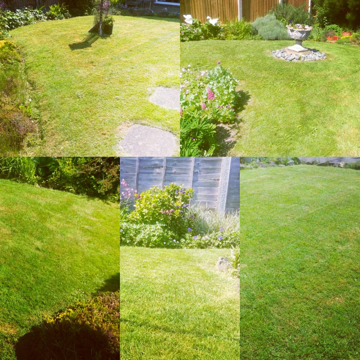 TiDeeHome's tweet image. 