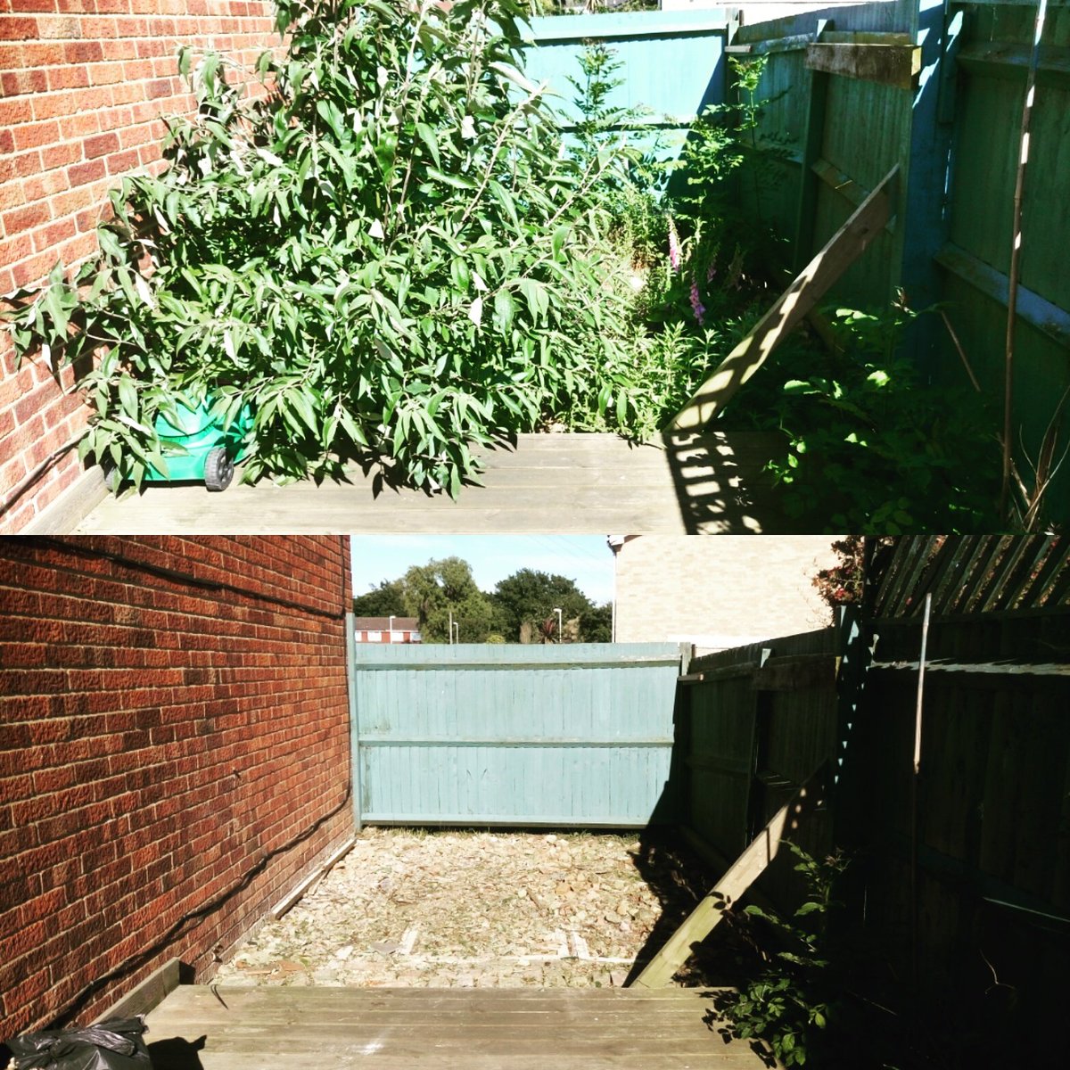 TiDeeHome's tweet image. 