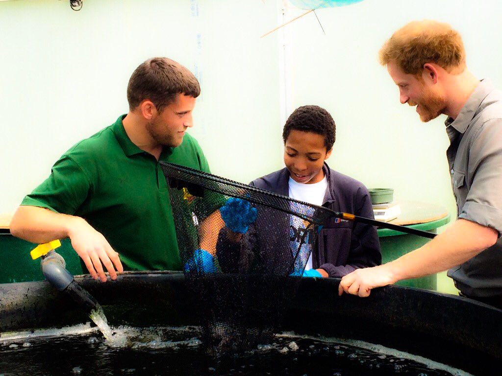 windsorwatcher's tweet photo. Prince Harry visited @CastNorthWest during his one day visited to Wigan. || 5th July 2016 https://t.co/jMIVkZ6h1h