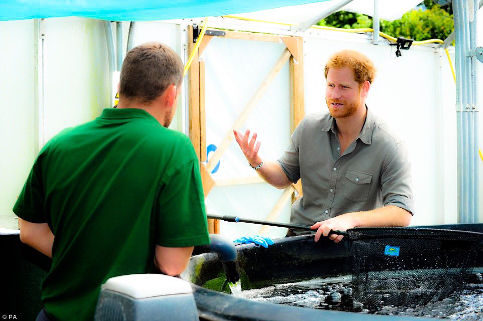 windsorwatcher's tweet photo. Prince Harry visited @CastNorthWest during his one day visited to Wigan. || 5th July 2016 https://t.co/jMIVkZ6h1h