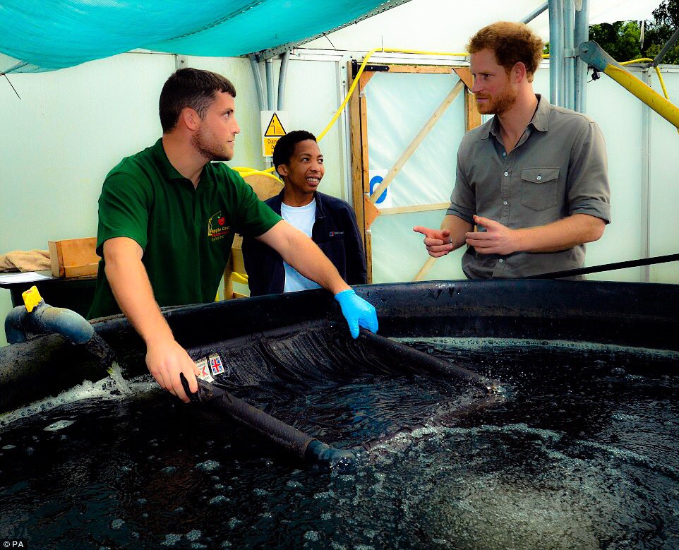 Prince Harry visited <a href="/CastNorthWest/">Cast North West</a> during his one day visited to Wigan. || 5th July 2016