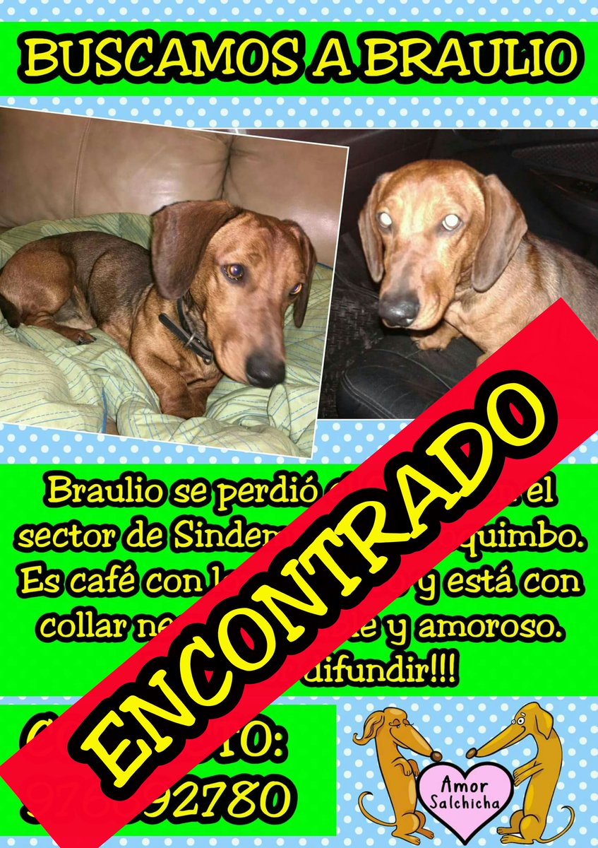 AmorSalchicha's tweet photo. Apareció Braulio en #Coquimbo!!! Bravo!!! 💖💖💖 https://t.co/6RC0zcUych
