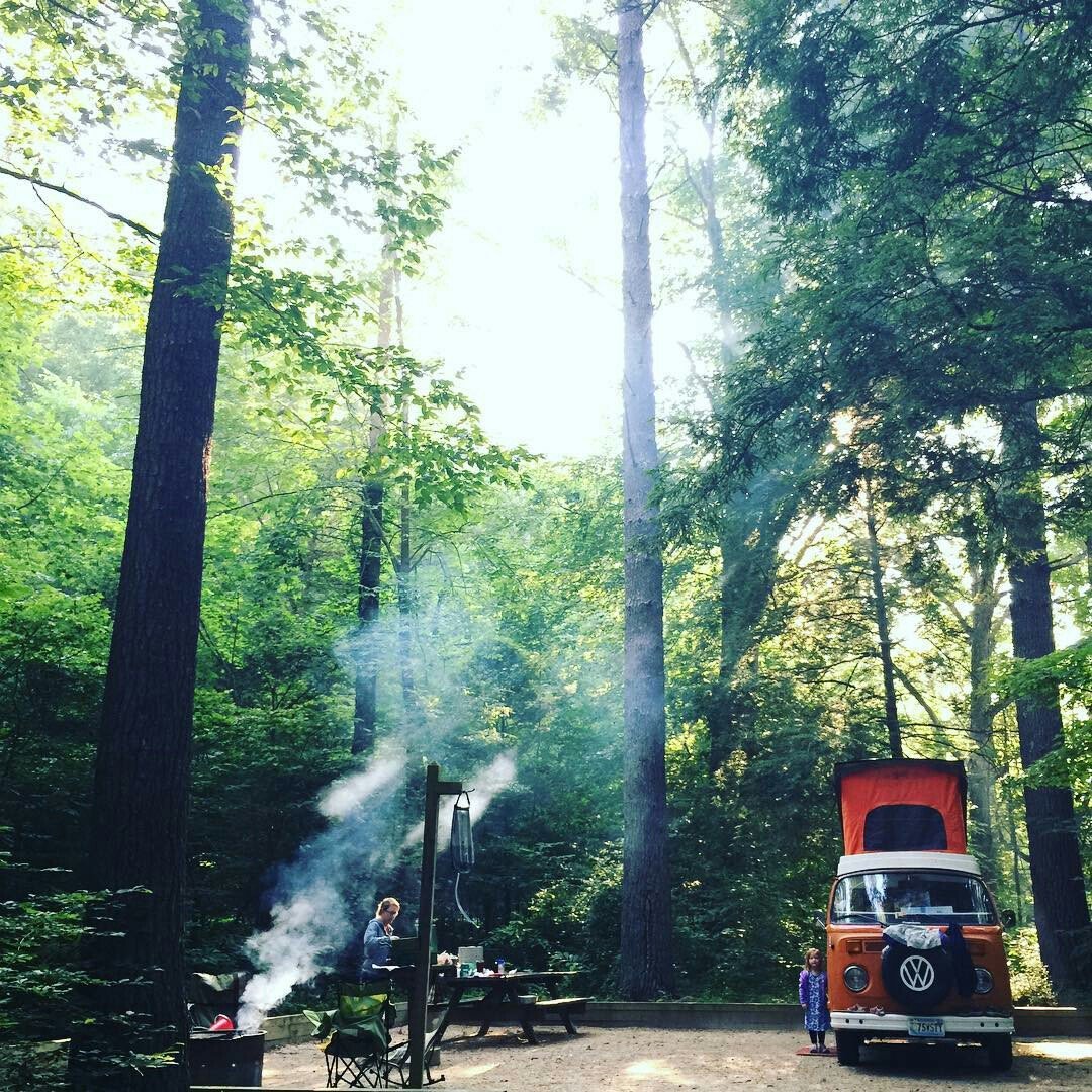 vwcamperfan's tweet photo. #food #forrest #volkswagen https://t.co/ql2SAsC3So