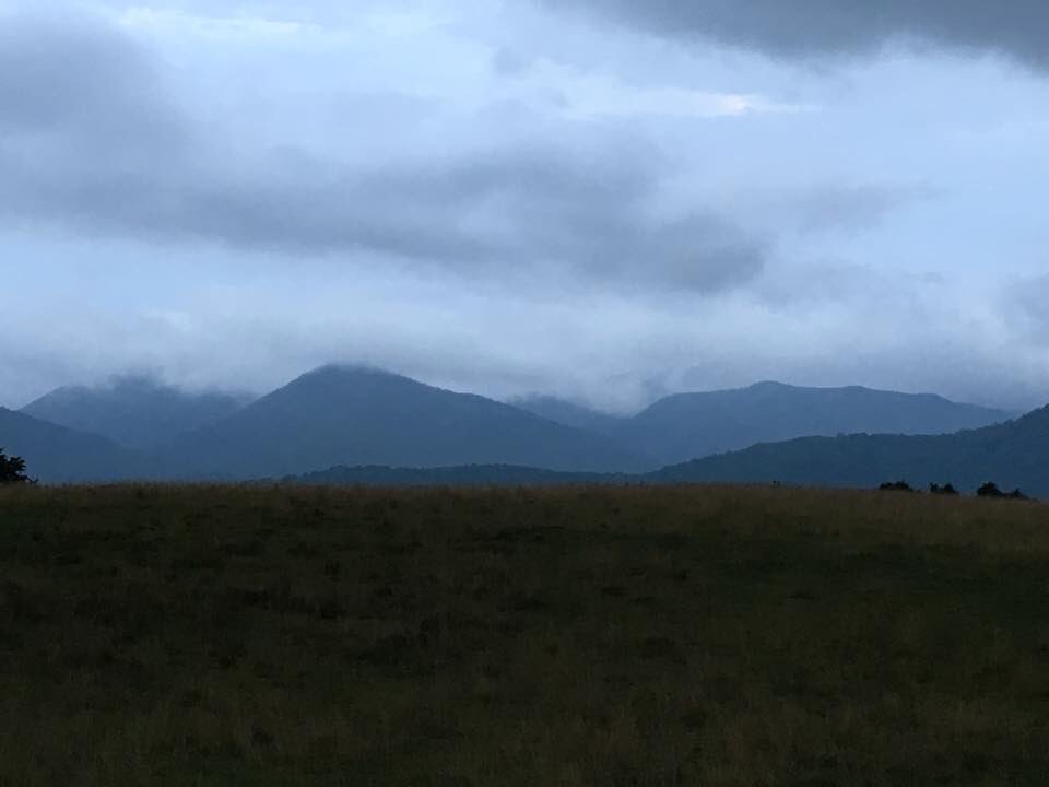 justin Sweeney (@justinsweeney10) on Twitter photo 