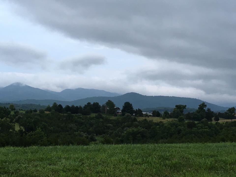 justin Sweeney (@justinsweeney10) on Twitter photo 