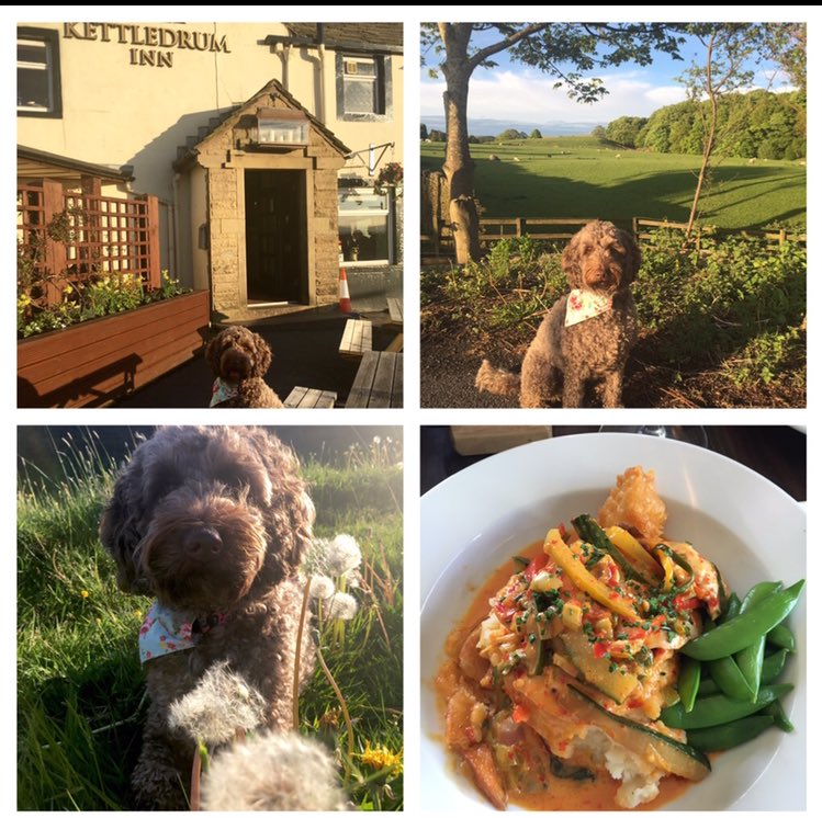 PlaceShaper's tweet photo. Stunning location, fantastic food &amp; great #realale #dogfriendly @KettledrumInn are now on Twitter pls follow them 🍴🍺 https://t.co/jACTy9Aptz
