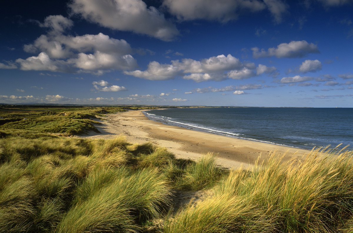Look to the left &amp; you can see where the scars of #opencast despoliation at #Druridge are set to leave their mark (: