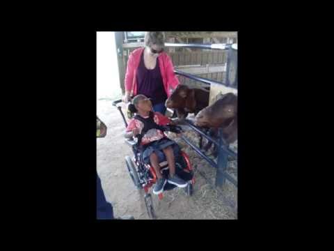 Noah has exceeded all expectations! Please donate if you can! youtu.be/7WlTqCH1lBs  ow.ly/1ZoJ302FIYN