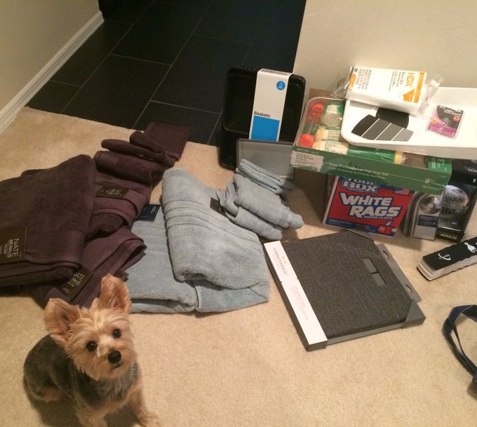 Just a few extra things + a bookcase that'll probably stay in the trunk of my car for 2mos .🙃🛍 https://t<a href="/tag/femdom"class="tags"><span>#femdom</span></a><a href="/tag/findom"class="tags"><span>#findom</span></a><a href="/tag/goodboy"class="tags"><span>#goodboy</span></a>