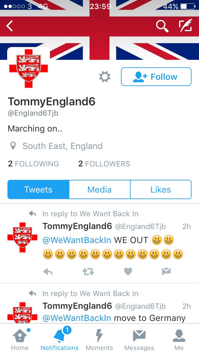 WeWantBackIn's tweet image. Look at these leave voters? It seems they actually make Twitter account just to abuse people with different views 🙄