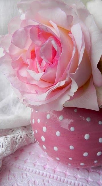 ZagoZago3's tweet photo. @Ap42Lita @Soychicho5 @MariaViHoran @Me_Gofficial @Yusmeron18 @Gabiita_AMGA @g_laion #1AS29 https://t.co/nfoOCw7VHO