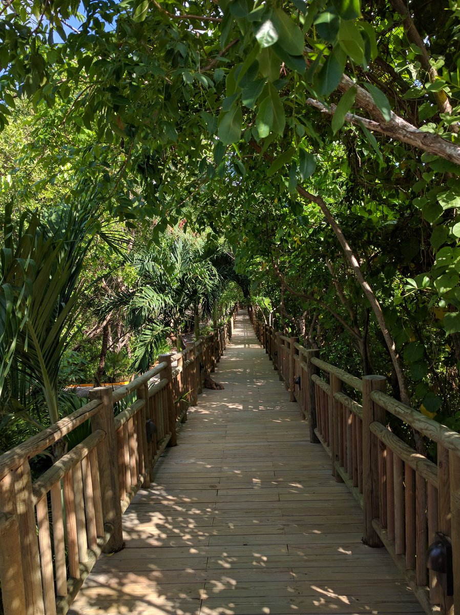 jxtrzn's tweet photo. Walk with me. 
Cancun, Mexico https://t.co/wKKrWetsNB