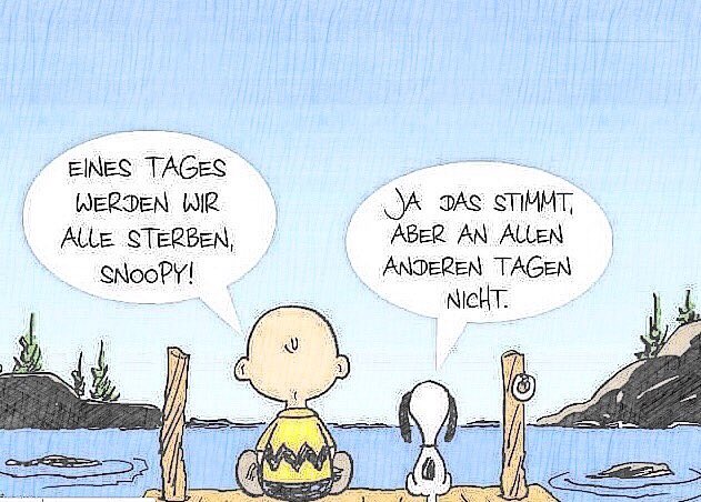 Annette Theis | SL tweet media