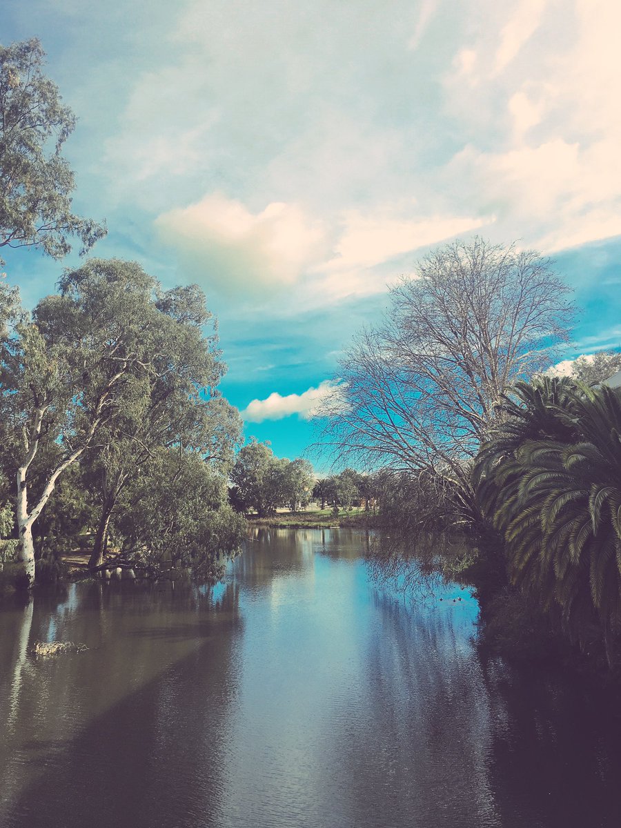 Brunslea Park tweet media
