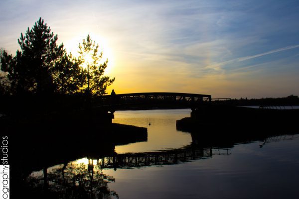 ographystudios's tweet photo. Sunsets https://t.co/TyE8f6Ag0g https://t.co/6bmUWOL8oP