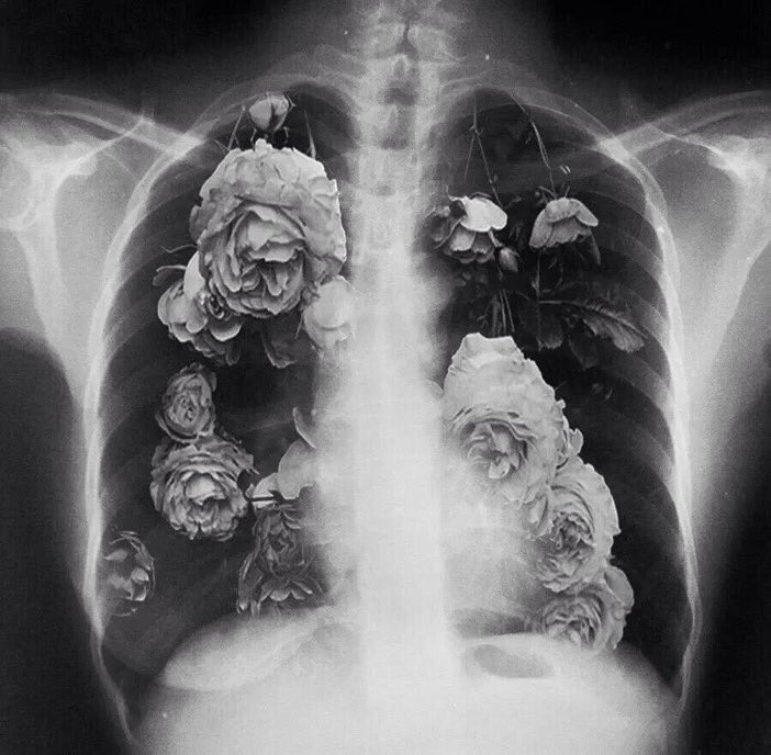 kqs_nm's tweet photo. شعور اللحظه : ❤️ https://t.co/RuzQDe0Vq5