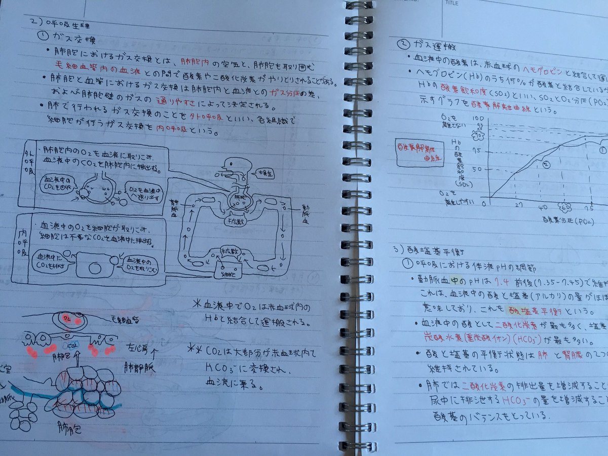 ちい 勉強垢 看護 على تويتر 今まで授業でしたことの 復習 まとめノート作成 看護 勉強垢 看護学生と繋がりたい