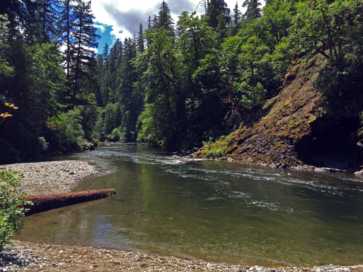 gregshine's tweet photo. My recent visit to @BLMOregon's Canyon Creek Rec Site: https://t.co/pLhJLtQHat #SeeBLM #SeeOregon #FindYourPark https://t.co/RMnpqwn7Yg
