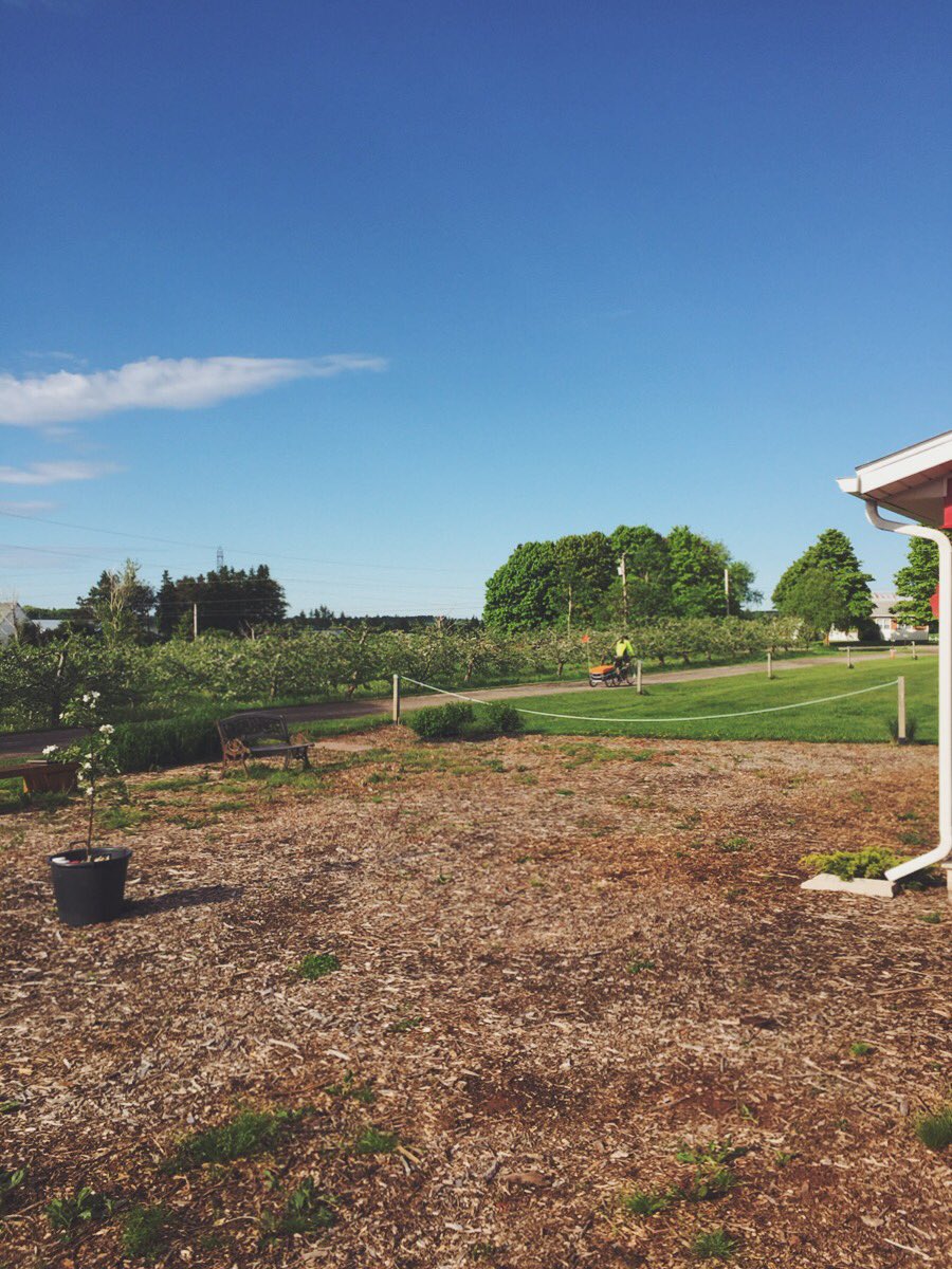 DeepRootsPEI's tweet image. Another beauty of a day at the Distillery! Catch us at the @CFMPEI tomorrow! #Summer2016 #DeepRootsDistillery