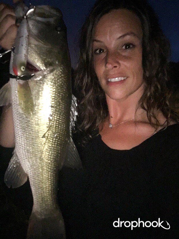 samanthalgay's tweet photo. My first time using a Zara Spook, and my first catch on it! #Heddon #WoundedSpook #drophook  #BestFishingApp https://t.co/xrhc20hD2m