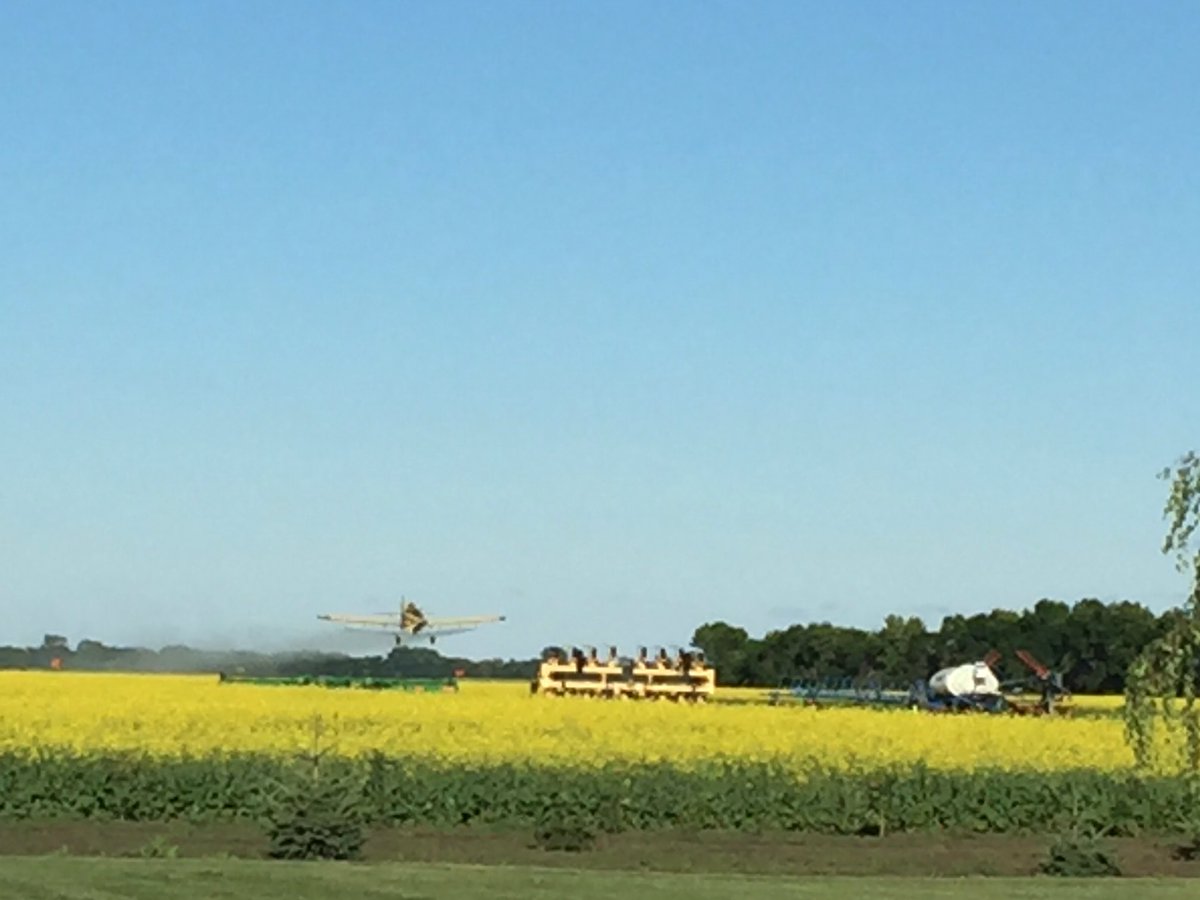 FarmSbl's tweet photo. #ProlineTime https://t.co/QNrQs4v61z