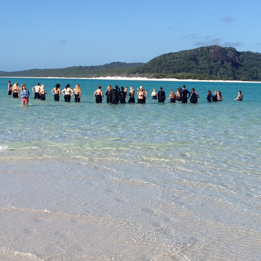 manager_blue's tweet photo. Marine life lesson with Crossy on #AtlanticClipper learning about Lemon Sharks &amp; Stingrays #Whitehaven 🐟 #TrueBlue https://t.co/F8pDHvNz05