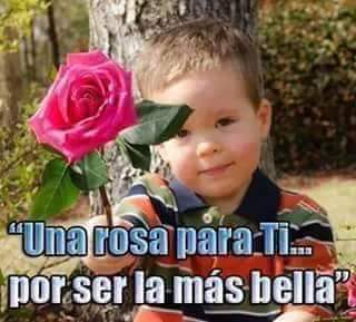 MarinosJaime's tweet photo. @ManuCamacho eres super linda y bella... me encanta tu sonrisa... https://t.co/DgV392tjT4