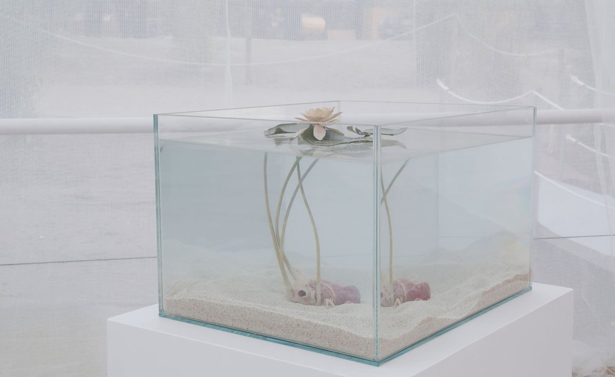 wallpapermag's tweet photo. A floating exhibition in Florence: https://t.co/MiggMoCkzQ https://t.co/6FsdpYkjWg