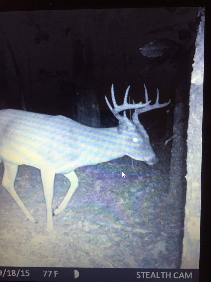 Hoping this guy is still around...
Get the free app: BuckBoard
appsto.re/us/oYPU-.i