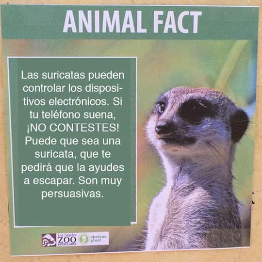 dian8627's tweet photo. @ElJuanpaZurita tal vez te llame😂 https://t.co/geZ3vnuSib