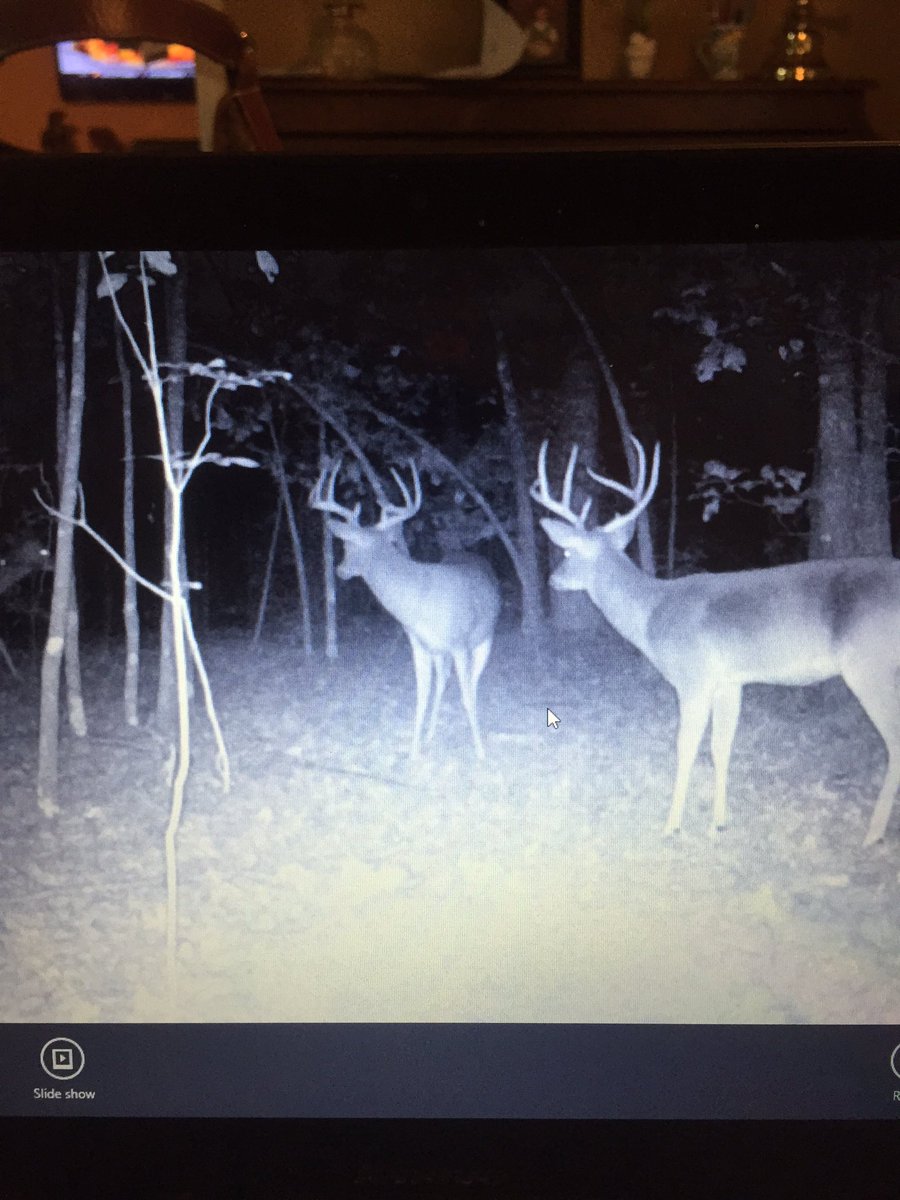 See the guy in the back?
Share your own hunting pics and follow your friends with BuckBoard
appsto.re/us/oYPU-.i