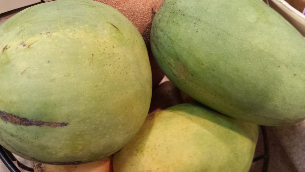 LunaSoffio's tweet photo. @TheMindOfColi
That's good fortune!
#GrowFood
#mangos come after #lechee
Collecting 4 long travel home #adk #VT https://t.co/OkPVWXp2fj