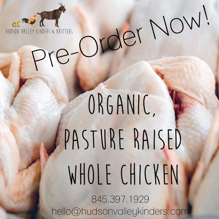 Pre-order whole chicken now! Available starting 8/1. Our chickens are raised on pasture at our farm #organic #foodie
