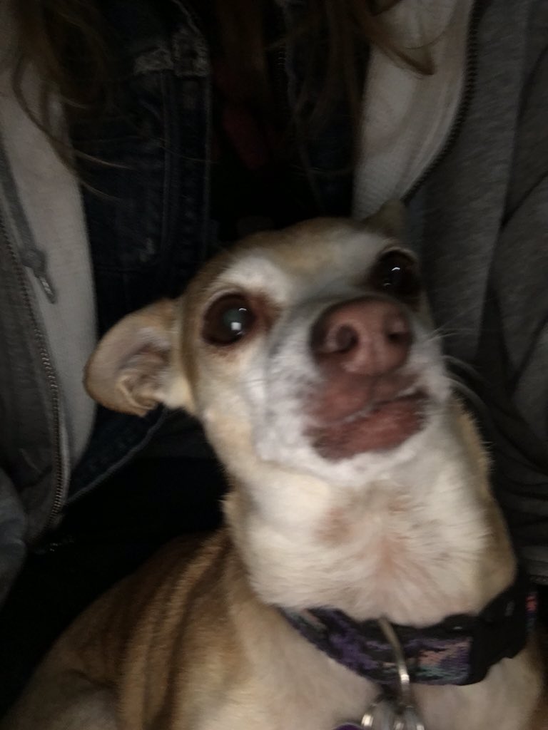 maroldrush's tweet image. my phone filed this under "selfies"