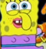 JackHershall's tweet photo. Spongeboobs https://t.co/fUdVFK8VQD